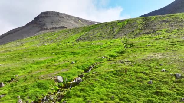 Spektakularne Zielone Góry Rzeką Wodospadami Sezonie Wiosennym Islandii — Wideo stockowe