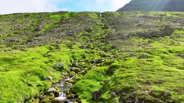 Spectaculaire Groene Bergen Met Rivier Watervallen Het Voorjaar Seizoen Ijsland — Stockvideo