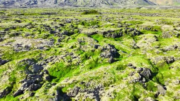 Spektakulära Gröna Berg Med Floden Och Vattenfall Våren Säsongen Island — Stockvideo