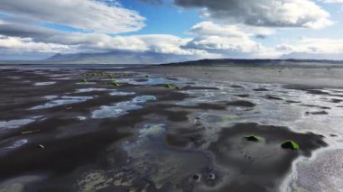 İzlanda 'daki Kara Sahil Hava Manzarası, Yeşil Çimen Kara Kumdan Yeşillik 4k