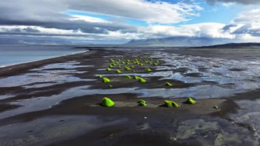 İzlanda 'daki Kara Sahil Hava Manzarası, Yeşil Çimen Kara Kumdan Yeşillik 4k