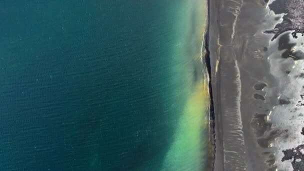 Black Beach Iceland Aerial View Green Grass Grow Black Sand — Stock Video