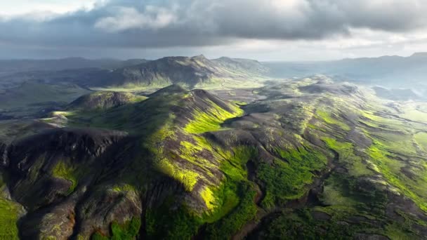 아이슬란드의 아름다운 특이한 이끼를 4K는 — 비디오