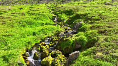 İzlanda dağlarında küçük bir dere akar, dağlarda bir nehir akar, yaz-bahar mevsiminde. Kristal berrak buzul suyu ve yeşil çimenler. Saf, el değmemiş doğa. 4k