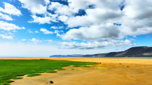 Пляж Золотим Піском Зеленою Травою Океані Ісландії Незвичайний Захоплюючий Пейзаж — стокове відео