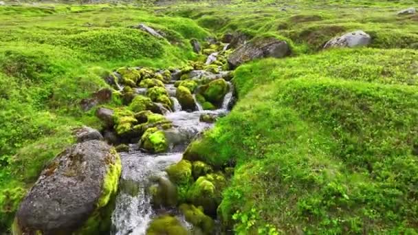 Mały Strumień Płynie Górach Islandii Rzeka Płynie Górach Sezon Lato — Wideo stockowe