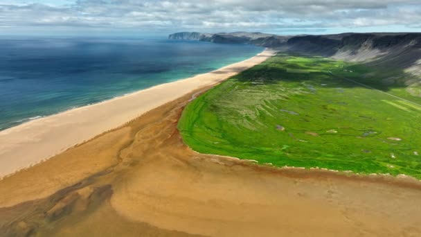 Beach Golden Sand Green Grass Ocean Iceland Unusual Fascinating Landscape — Stock Video
