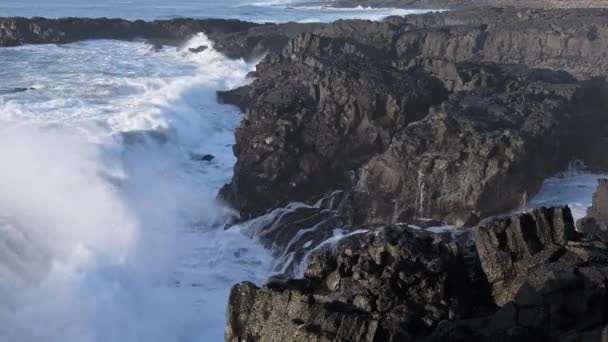 Extreme Huge Waves Crash Shore Rocky Ocean Coast Iceland Basalt — Stock Video