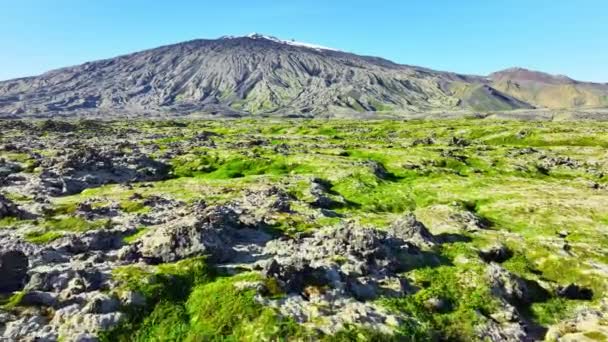 Lava Slätt Täckt Med Grön Mossa Mitt Sommaren Flyger Över — Stockvideo