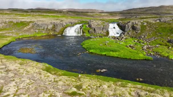 Latanie Nad Pięknym Wodospadem Islandii Pochmurny Letni Poranek Krajobraz Zielonym — Wideo stockowe