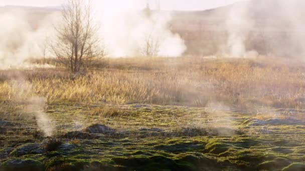 Paesaggio Marziano Sulla Terra Fumarole Islanda Energia Geotermica Attività Vulcanica — Video Stock