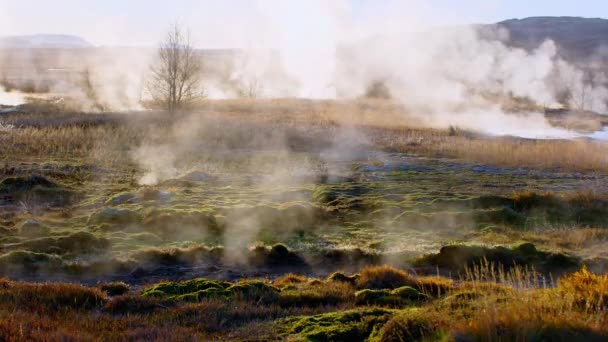 Martian Landscape Earth Smoking Fumaroles Iceland Geothermal Energy Volcanic Tectonic — Stock Video