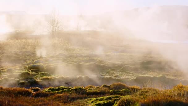 Marsjański Krajobraz Ziemi Palenie Fumaroli Islandii Energia Geotermalna Aktywność Wulkaniczna — Wideo stockowe