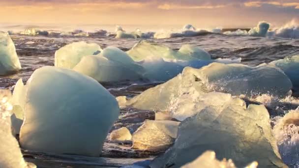 金光闪闪的冰山在黑色的海滩上闪耀 冰岛钻石海滩的日出 清澈的冰被海浪冲垮了 气候变化与全球变暖问题 高质量的4K镜头 免版税图库视频片段