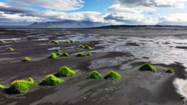 İzlanda 'da benzersiz siyah kumlu sahil. Yeşil küçük tepeleri olan eşsiz kıyı şeridi. 4k' lik olağanüstü soyut manzarası var.