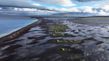 İzlanda 'da benzersiz siyah kumlu sahil. Yeşil küçük tepeleri olan eşsiz kıyı şeridi. 4k' lik olağanüstü soyut manzarası var.