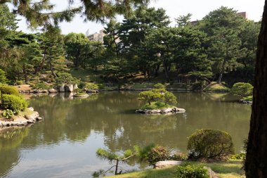 Bu güzel gölet Hiroşima 'da bir Japon bahçesinde görüldü. Çevredeki yeşil yapraklar bunu sakin bir sahne haline getiriyor. Bölge tamamen rahatlamak ve şehirden kaçmak için yapılmış..
