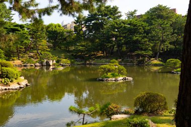 Bu güzel gölet Hiroşima 'da bir Japon bahçesinde görüldü. Çevredeki yeşil yapraklar bunu sakin bir sahne haline getiriyor. Bölge tamamen rahatlamak ve şehirden kaçmak için yapılmış..