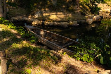 Bu güzel kayık göletin kıyısında oturuyordu. Bu kahverengi ahşap teknenin uzun zamandır terk edilmiş olduğunu gösteren yeşil yapraklar büyüyor. Görüntü ışıkla parlıyor gibi..