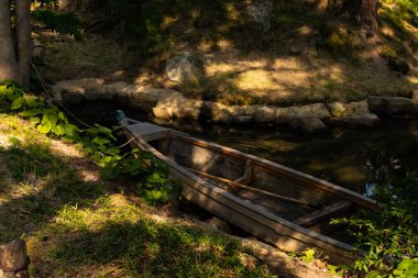 Bu güzel kayık göletin kıyısında oturuyordu. Bu kahverengi ahşap teknenin uzun zamandır terk edilmiş olduğunu gösteren yeşil yapraklar büyüyor. Görüntü ışıkla parlıyor gibi..