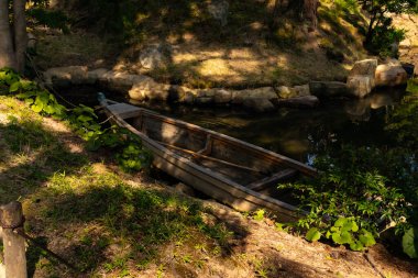 Bu güzel kayık göletin kıyısında oturuyordu. Bu kahverengi ahşap teknenin uzun zamandır terk edilmiş olduğunu gösteren yeşil yapraklar büyüyor. Görüntü ışıkla parlıyor gibi..