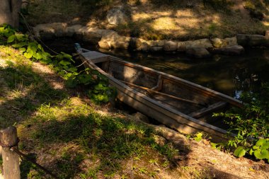 Bu güzel kayık göletin kıyısında oturuyordu. Bu kahverengi ahşap teknenin uzun zamandır terk edilmiş olduğunu gösteren yeşil yapraklar büyüyor. Görüntü ışıkla parlıyor gibi..