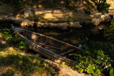 Bu güzel kayık göletin kıyısında oturuyordu. Bu kahverengi ahşap teknenin uzun zamandır terk edilmiş olduğunu gösteren yeşil yapraklar büyüyor. Görüntü ışıkla parlıyor gibi..
