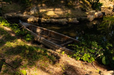Bu güzel kayık göletin kıyısında oturuyordu. Bu kahverengi ahşap teknenin uzun zamandır terk edilmiş olduğunu gösteren yeşil yapraklar büyüyor. Görüntü ışıkla parlıyor gibi..