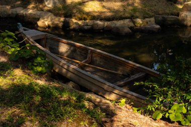 Bu güzel kayık göletin kıyısında oturuyordu. Bu kahverengi ahşap teknenin uzun zamandır terk edilmiş olduğunu gösteren yeşil yapraklar büyüyor. Görüntü ışıkla parlıyor gibi..