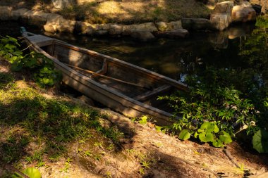 Bu güzel kayık göletin kıyısında oturuyordu. Bu kahverengi ahşap teknenin uzun zamandır terk edilmiş olduğunu gösteren yeşil yapraklar büyüyor. Görüntü ışıkla parlıyor gibi..