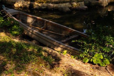 Bu güzel kayık göletin kıyısında oturuyordu. Bu kahverengi ahşap teknenin uzun zamandır terk edilmiş olduğunu gösteren yeşil yapraklar büyüyor. Görüntü ışıkla parlıyor gibi..