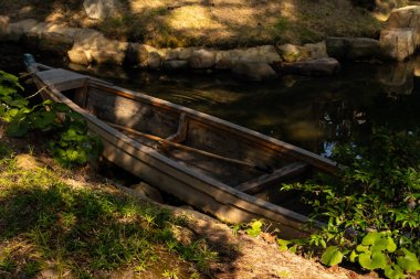 Bu güzel kayık göletin kıyısında oturuyordu. Bu kahverengi ahşap teknenin uzun zamandır terk edilmiş olduğunu gösteren yeşil yapraklar büyüyor. Görüntü ışıkla parlıyor gibi..