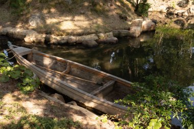 Bu güzel kayık göletin kıyısında oturuyordu. Bu kahverengi ahşap teknenin uzun zamandır terk edilmiş olduğunu gösteren yeşil yapraklar büyüyor. Görüntü ışıkla parlıyor gibi..