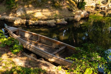 Bu güzel kayık göletin kıyısında oturuyordu. Bu kahverengi ahşap teknenin uzun zamandır terk edilmiş olduğunu gösteren yeşil yapraklar büyüyor. Görüntü ışıkla parlıyor gibi..
