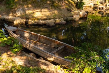 Bu güzel kayık göletin kıyısında oturuyordu. Bu kahverengi ahşap teknenin uzun zamandır terk edilmiş olduğunu gösteren yeşil yapraklar büyüyor. Görüntü ışıkla parlıyor gibi..