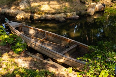 Bu güzel kayık göletin kıyısında oturuyordu. Bu kahverengi ahşap teknenin uzun zamandır terk edilmiş olduğunu gösteren yeşil yapraklar büyüyor. Görüntü ışıkla parlıyor gibi..
