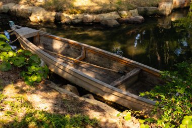 Bu güzel kayık göletin kıyısında oturuyordu. Bu kahverengi ahşap teknenin uzun zamandır terk edilmiş olduğunu gösteren yeşil yapraklar büyüyor. Görüntü ışıkla parlıyor gibi..