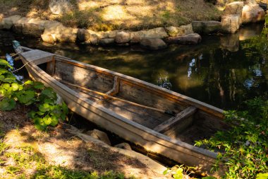 Bu güzel kayık göletin kıyısında oturuyordu. Bu kahverengi ahşap teknenin uzun zamandır terk edilmiş olduğunu gösteren yeşil yapraklar büyüyor. Görüntü ışıkla parlıyor gibi..