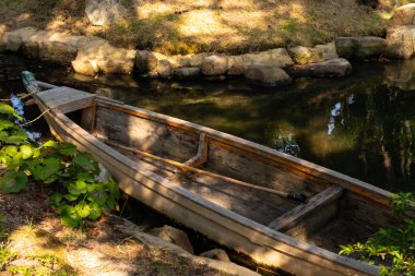Bu güzel kayık göletin kıyısında oturuyordu. Bu kahverengi ahşap teknenin uzun zamandır terk edilmiş olduğunu gösteren yeşil yapraklar büyüyor. Görüntü ışıkla parlıyor gibi..