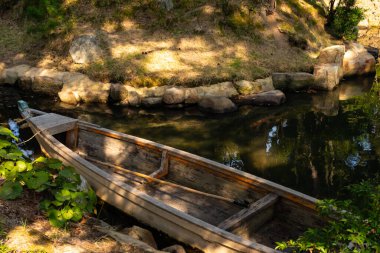 Bu güzel kayık göletin kıyısında oturuyordu. Bu kahverengi ahşap teknenin uzun zamandır terk edilmiş olduğunu gösteren yeşil yapraklar büyüyor. Görüntü ışıkla parlıyor gibi..