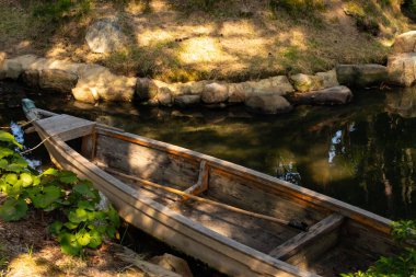 Bu güzel kayık göletin kıyısında oturuyordu. Bu kahverengi ahşap teknenin uzun zamandır terk edilmiş olduğunu gösteren yeşil yapraklar büyüyor. Görüntü ışıkla parlıyor gibi..