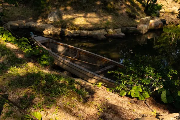 Bu güzel kayık göletin kıyısında oturuyordu. Bu kahverengi ahşap teknenin uzun zamandır terk edilmiş olduğunu gösteren yeşil yapraklar büyüyor. Görüntü ışıkla parlıyor gibi..