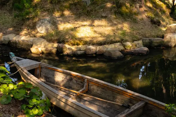 Bu güzel kayık göletin kıyısında oturuyordu. Bu kahverengi ahşap teknenin uzun zamandır terk edilmiş olduğunu gösteren yeşil yapraklar büyüyor. Görüntü ışıkla parlıyor gibi..