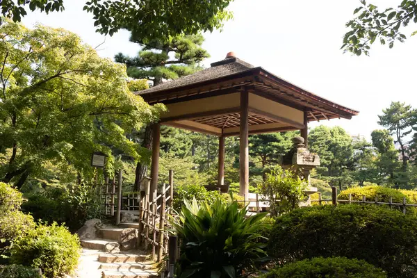 Japonya 'daki parkın güzel manzarası. Güzel pagoda görüntünün kenarında duran yapıya benziyor. Huzurlu bir çevreyi gösteren meditasyon yapan yeşil yapraklar..