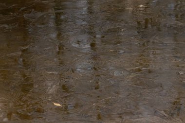 Tırtıklı buz kristalleri kısmen donmuş bir suyu karmaşık bir şekilde şekillendiriyor. Bulanık kış ağaçlarını yansıtıyor. Topraksı kahverengiler ve buzlu maviler desenli, doğal bir soyut yaratırlar..