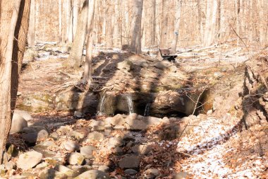 Küçük bir şelale kayaların üzerinde çağlar ve güneş lekeli bir ormanda kar. Arka planda bank olan bir kış sahnesi. Huzurlu doğa ayarları.