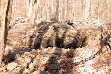 Küçük bir şelale kayaların üzerinde çağlar ve güneş lekeli bir ormanda kar. Arka planda bank olan bir kış sahnesi. Huzurlu doğa ayarları.