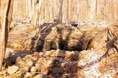 Küçük bir şelale kayaların üzerinde çağlar ve güneş lekeli bir ormanda kar. Arka planda bank olan bir kış sahnesi. Huzurlu doğa ayarları.