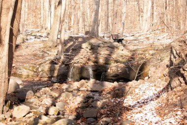 Küçük bir şelale kayaların üzerinde çağlar ve güneş lekeli bir ormanda kar. Arka planda bank olan bir kış sahnesi. Huzurlu doğa ayarları.