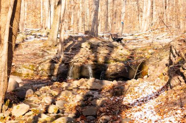 Küçük bir şelale kayaların üzerinde çağlar ve güneş lekeli bir ormanda kar. Arka planda bank olan bir kış sahnesi. Huzurlu doğa ayarları.